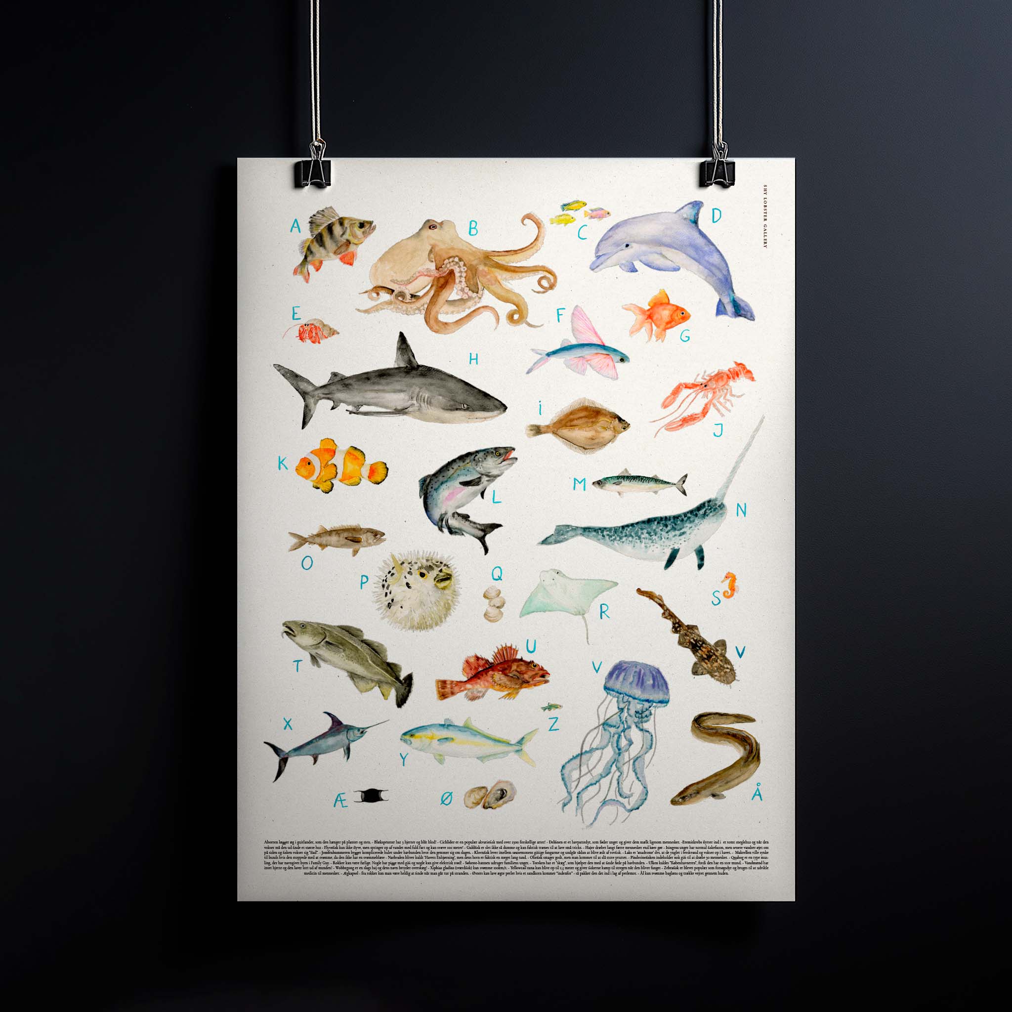 "Havets ABC" – Ocean-themed alphabet poster for kids featuring 28 hand-painted sea creatures, each representing a letter. Watercolor design with muted shades, perfect for nurseries, kids’ rooms, and family spaces. Includes fun facts about each ocean creature, ideal for families who love the ocean and fishing. Poster hanging