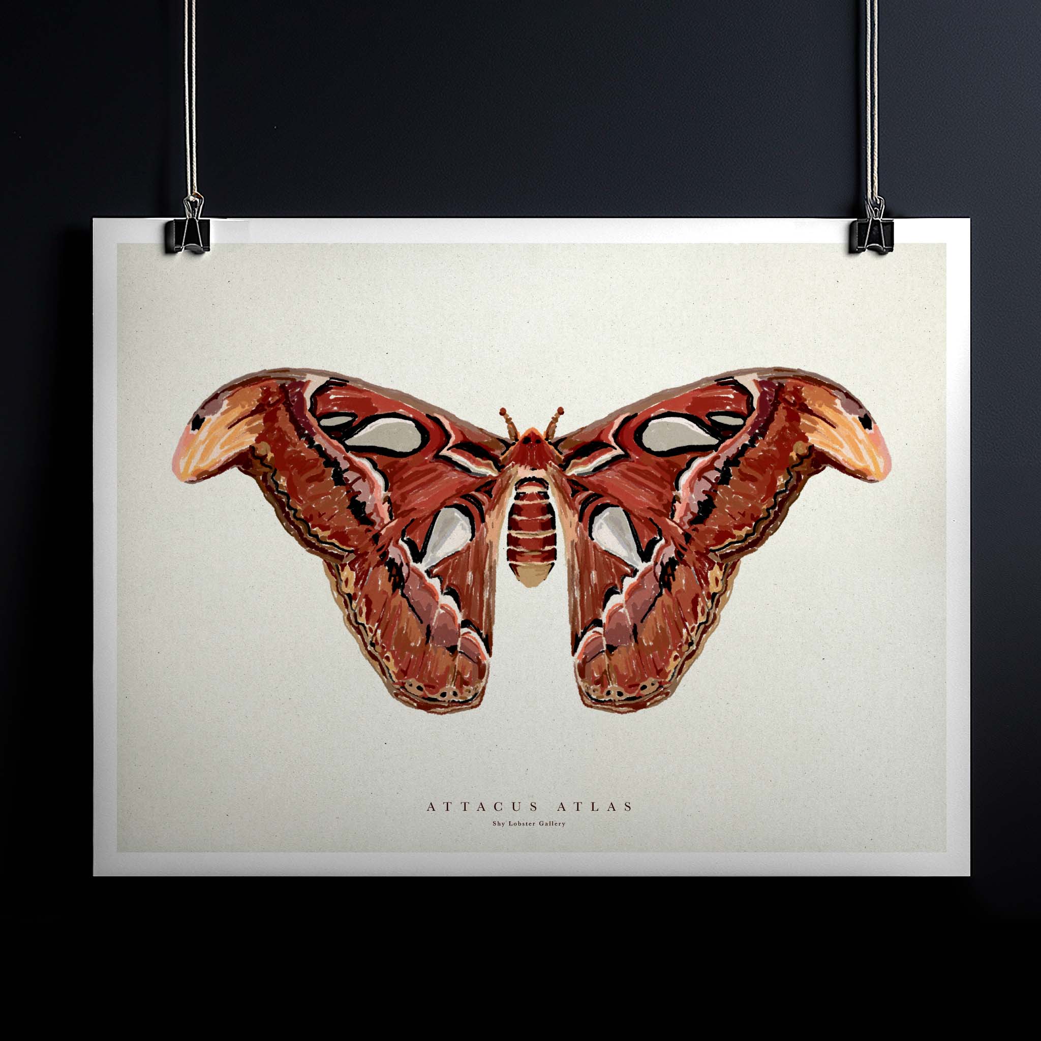 🎁 Attacus Atlas - Poster (100% off)