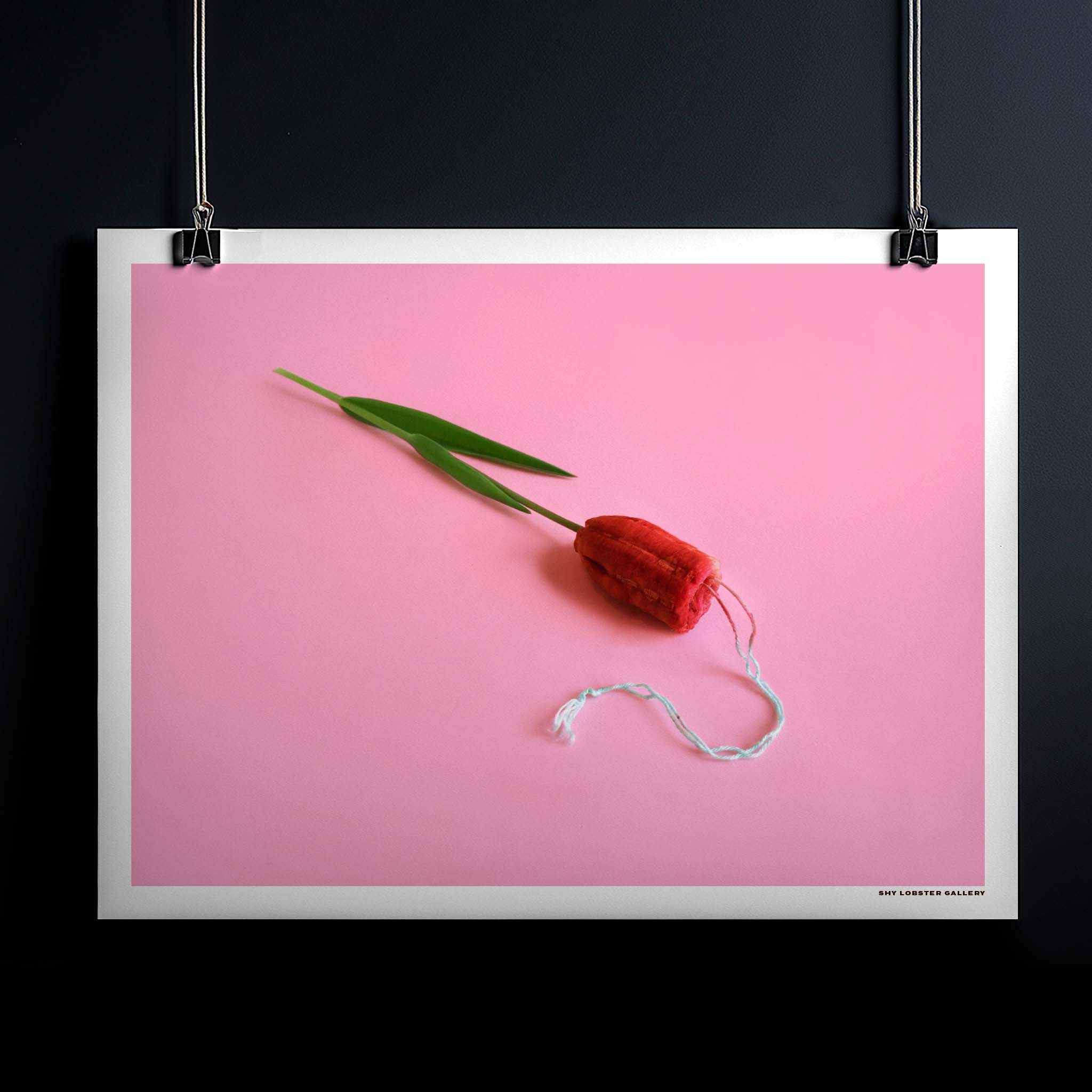 "Tulip" – Feminist-inspired graphic poster featuring a flower made from a red tampon on a bright pink background. A powerful symbol of women’s strength and empowerment, perfect for modern spaces and celebrating women’s rights.